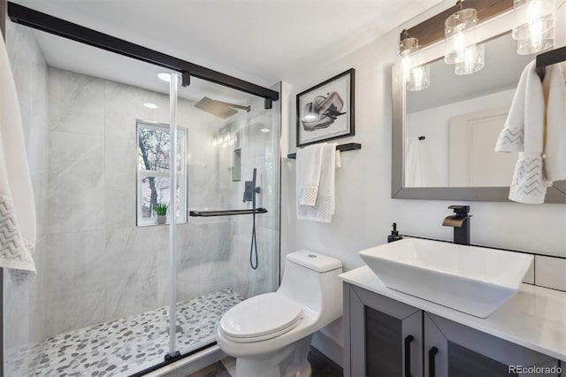 bathroom with a shower stall, toilet, and vanity