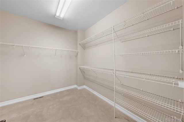 spacious closet featuring visible vents and carpet floors