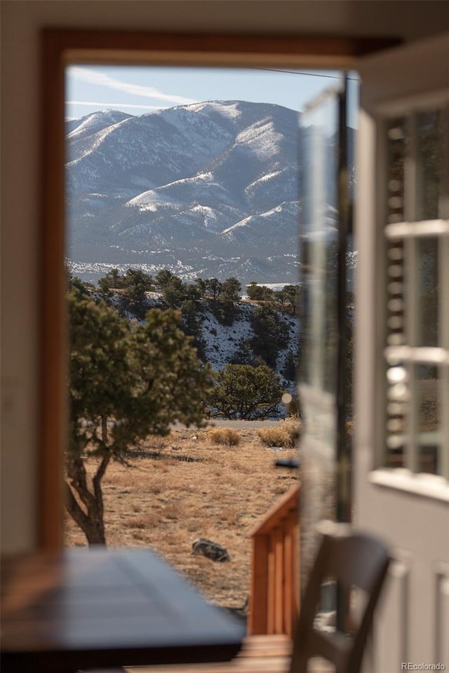 details with a mountain view