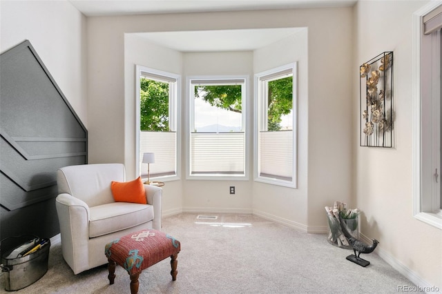 2467 Spanish Oak Ter, Colorado Springs, CO 80920 - sitting room with carpet flooring and plenty of natural light