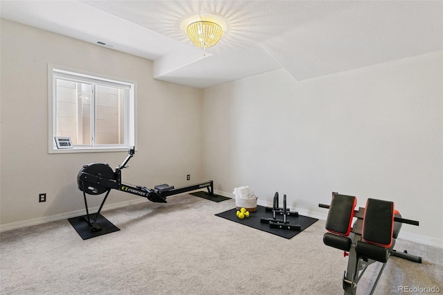 2467 Spanish Oak Ter, Colorado Springs, CO 80920 - workout area featuring carpet floors and baseboards