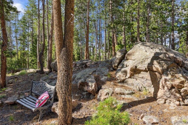 10668 Crystal Way, Morrison, CO 80465 - view of undeveloped land