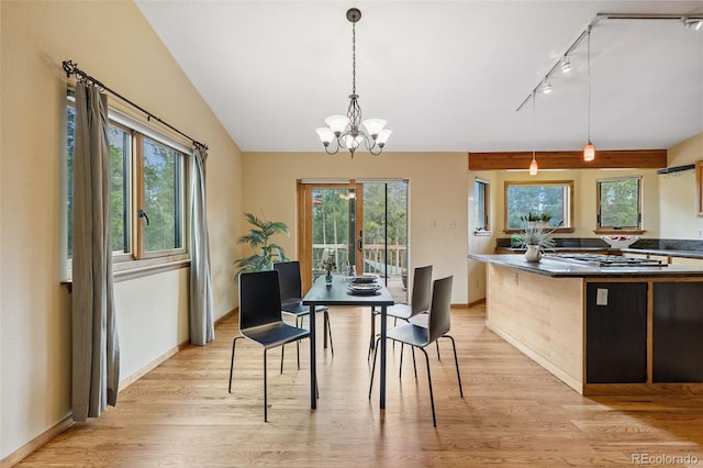 10668 Crystal Way, Morrison, CO 80465 - dining area with light wood-style flooring, a chandelier, healthy amount of natural light, and rail lighting