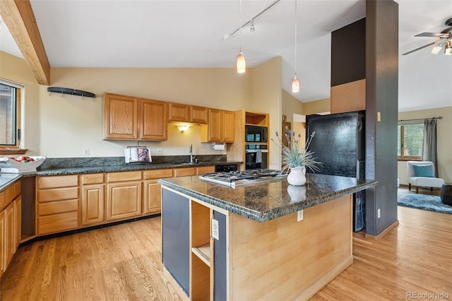 10668 Crystal Way, Morrison, CO 80465 - kitchen featuring track lighting, black appliances, high vaulted ceiling, light wood-style flooring, and a ceiling fan