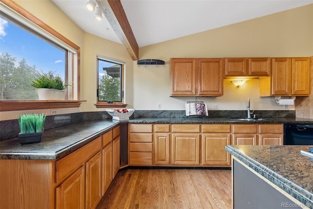 10668 Crystal Way, Morrison, CO 80465 - kitchen with dishwasher, light wood-style flooring, and dark stone counters
