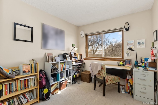 office with light colored carpet and a textured ceiling