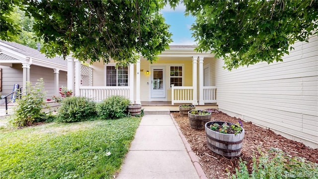 1750 Clark Dr, Erie, CO 80516 - property entrance with covered porch