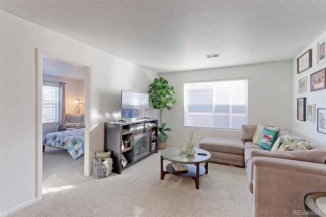 carpeted living room with a textured ceiling and a wealth of natural light