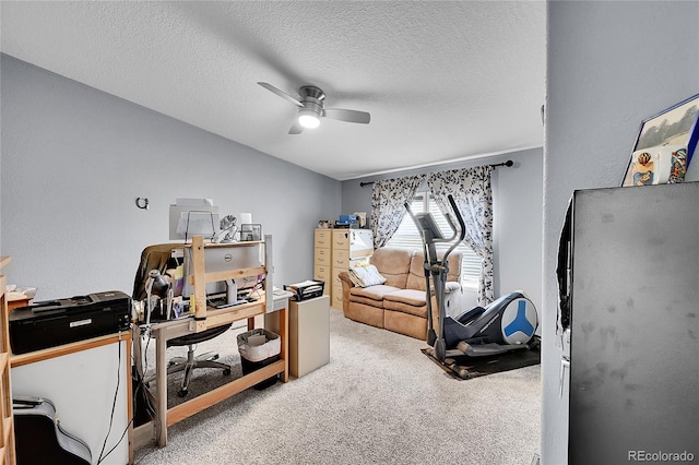 57300 County Road 21, Carr, CO 80612 - photo 14