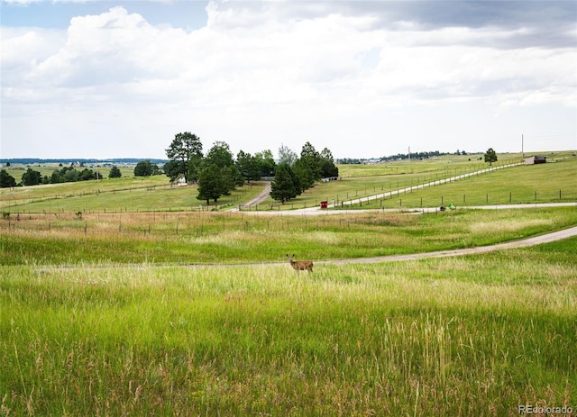 7573 Pine Crest Dr, Kiowa, CO 80117 - view of yard with a rural view