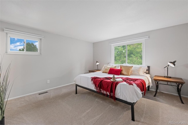 7507 Braun St, Arvada, CO 80005 - photo 21