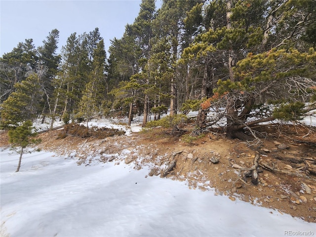 Listing photo 3 for 0 Texas Dr, Idaho Springs CO 80452