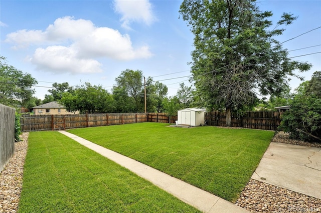 2955 Poplar St, Denver, CO 80207 - fenced backyard featuring a storage unit