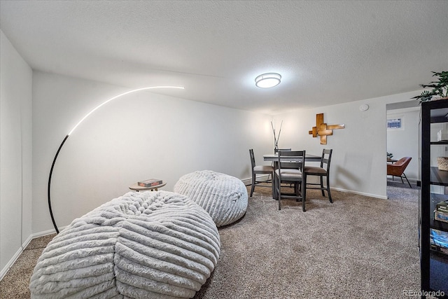 dining room featuring a textured ceiling, carpet floors, and a baseboard radiator