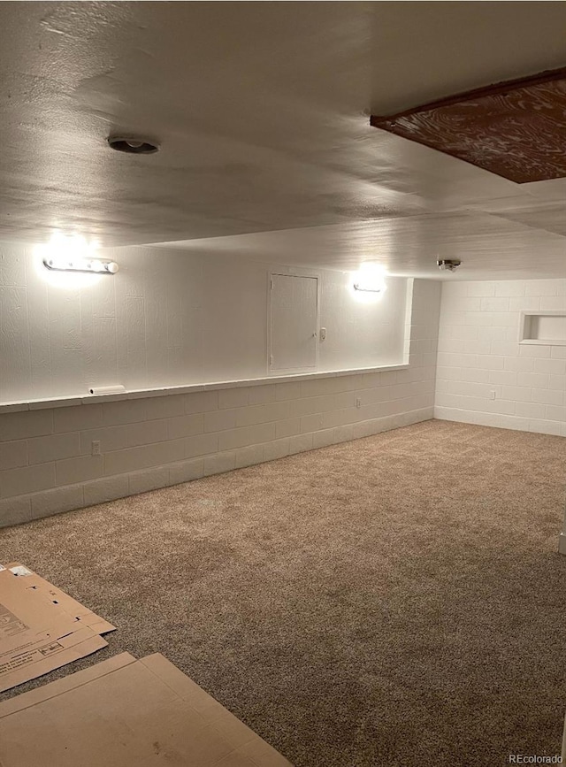 415 N Division Ave, Sterling, CO 80751 - bonus room with carpet and concrete block wall
