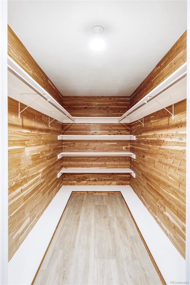 spacious closet featuring wood-type flooring