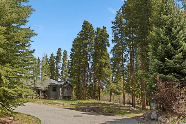 28 Tall Pines Dr, Breckenridge, CO 80424 - photo 3