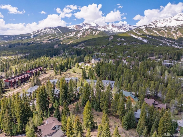 28 Tall Pines Dr, Breckenridge, CO 80424 - photo 6