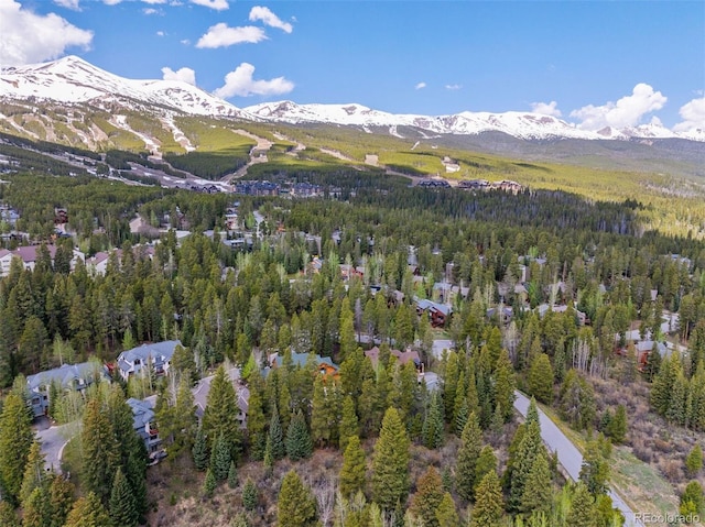 28 Tall Pines Dr, Breckenridge, CO 80424 - photo 7