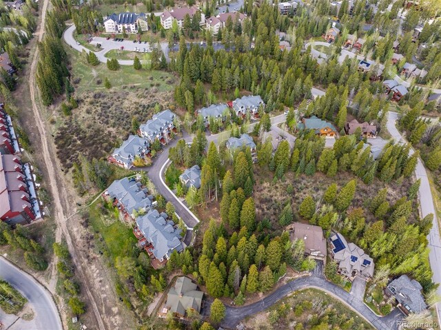 28 Tall Pines Dr, Breckenridge, CO 80424 - photo 9
