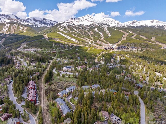 28 Tall Pines Dr, Breckenridge, CO 80424 - photo 10