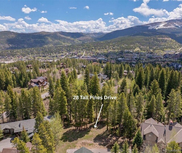 28 Tall Pines Dr, Breckenridge, CO 80424 - photo 4