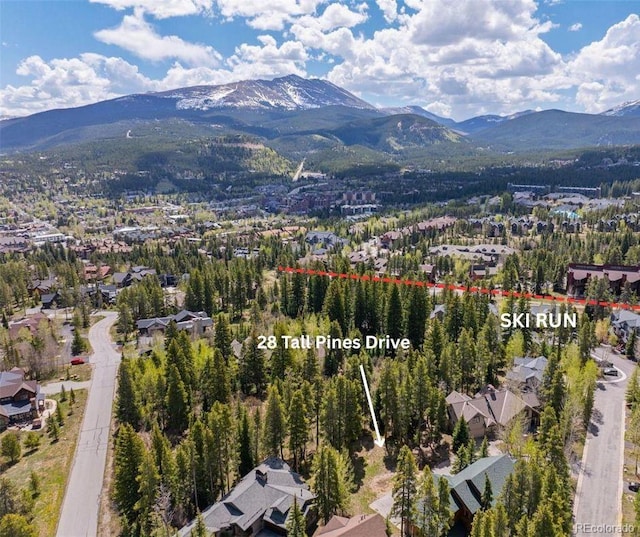 28 Tall Pines Dr, Breckenridge, CO 80424 - photo 5