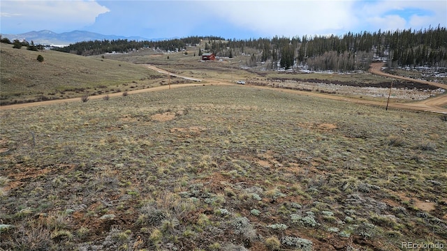 3954 Remington Rd, Como, CO 80432