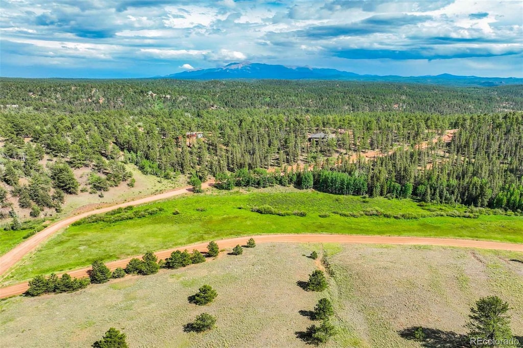 921 Kiowa Rd, Florissant, CO 80816 - photo 1