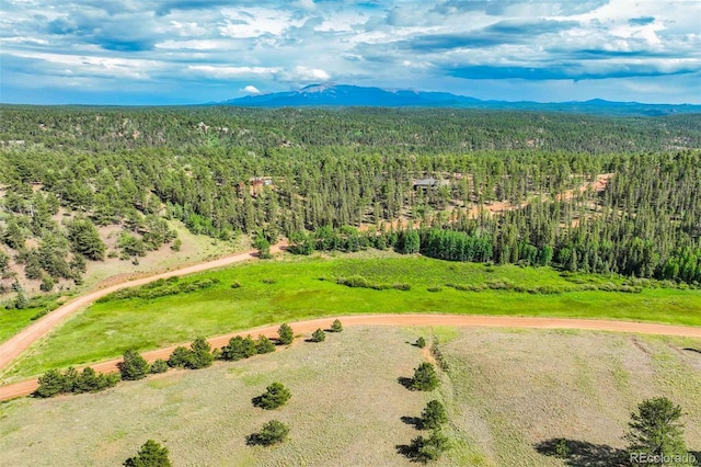 921 Kiowa Rd, Florissant, CO 80816 - photo 1