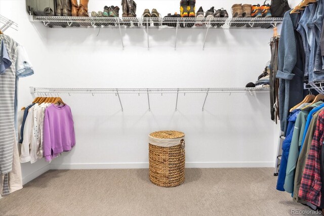 117 Nova Ct, Erie, CO 80516 - photo 22