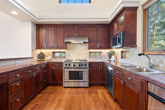 948 Manor Gate Pt, Colorado Springs, CO 80906 - kitchen with stainless steel appliances, under cabinet range hood, a sink, light wood-style flooring, and glass insert cabinets