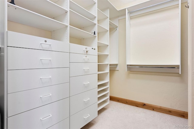 948 Manor Gate Pt, Colorado Springs, CO 80906 - spacious closet featuring carpet