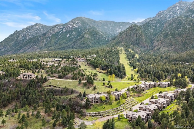 948 Manor Gate Pt, Colorado Springs, CO 80906 - mountain view with a forest
