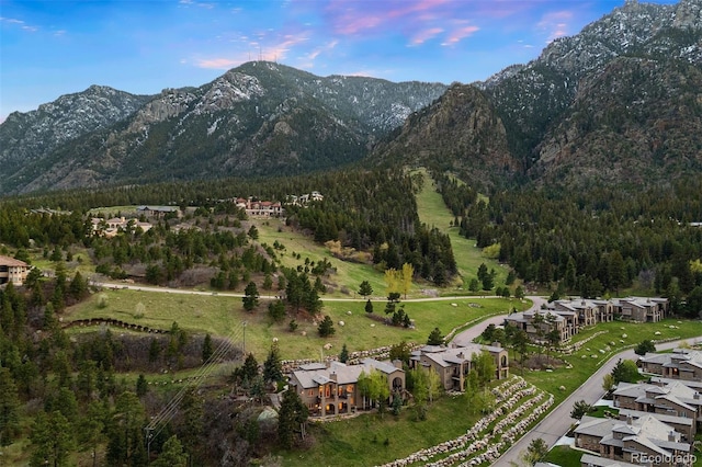 948 Manor Gate Pt, Colorado Springs, CO 80906 - view of mountain background featuring a heavily wooded area