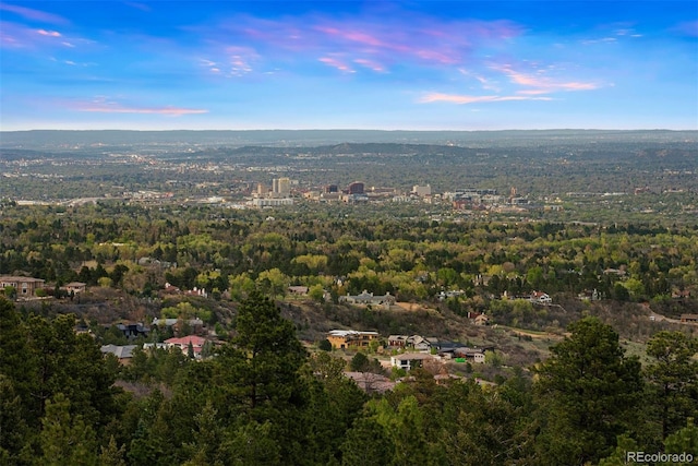 948 Manor Gate Pt, Colorado Springs, CO 80906 - aerial overview of property's location with a forest