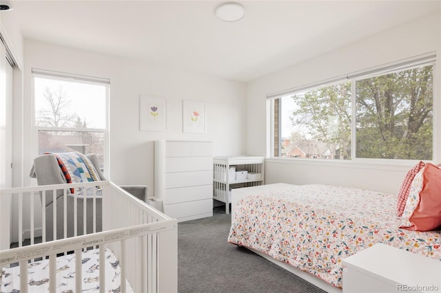 2321 S Acoma St, Denver, CO 80223 - photo 31