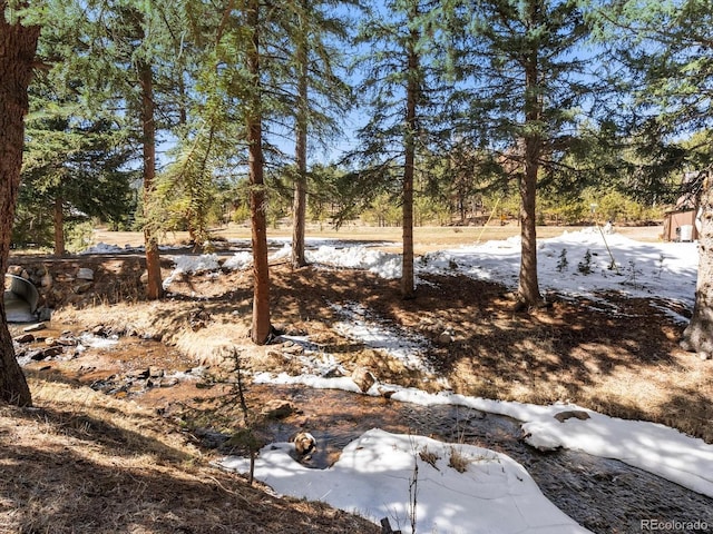 28268 Shadow Mountain Dr, Conifer, CO 80433 - view of yard