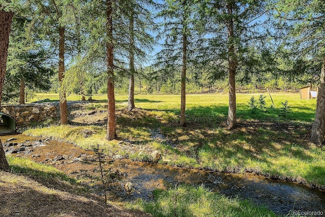 28268 Shadow Mountain Dr, Conifer, CO 80433 - photo 1