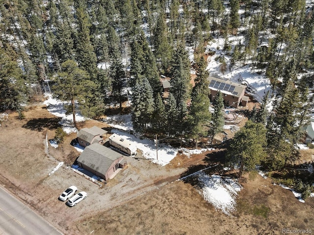 28268 Shadow Mountain Dr, Conifer, CO 80433 - photo 18