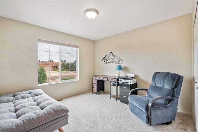 11166 Palmers Green Dr, Peyton, CO 80831 - photo 21