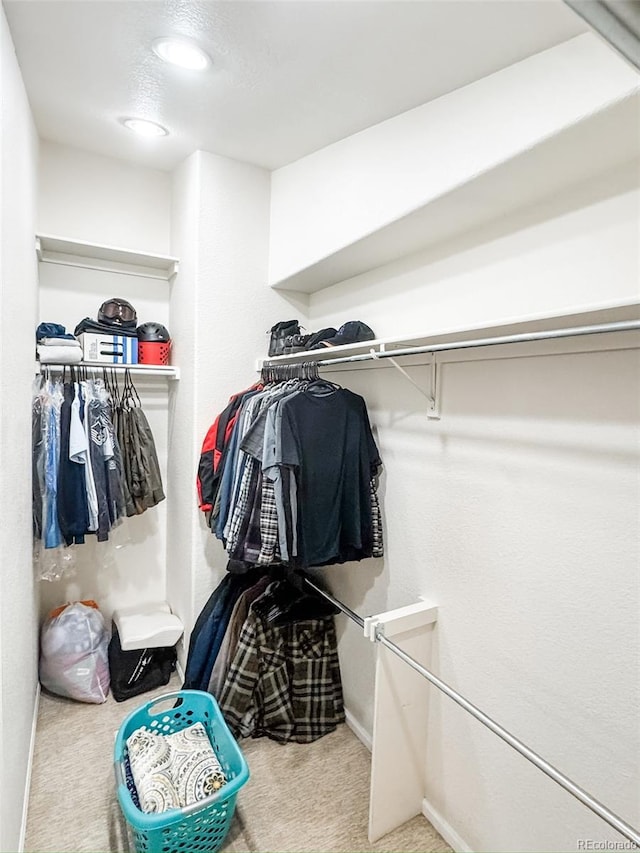 spacious closet featuring carpet floors