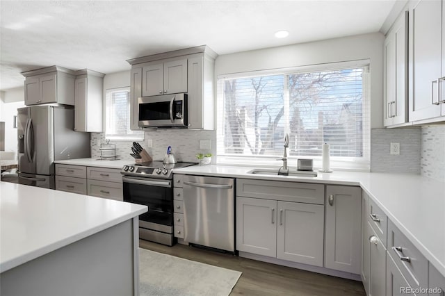 kitchen featuring a sink, appliances with stainless steel finishes, gray cabinets, and light countertops