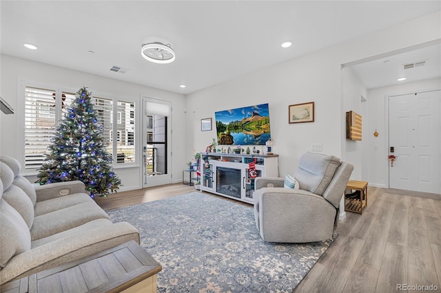 living room featuring light hardwood / wood-style floors