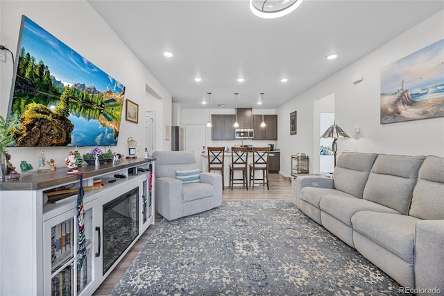 living room with dark hardwood / wood-style flooring