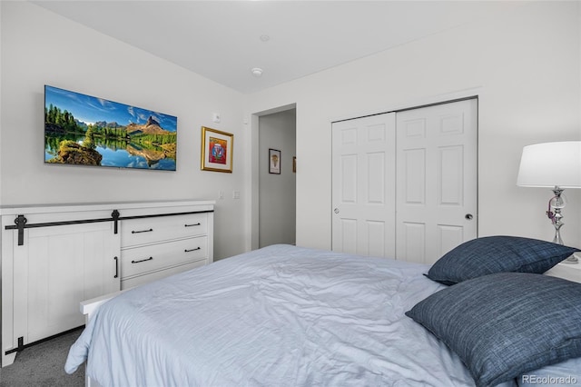 carpeted bedroom with a barn door and a closet