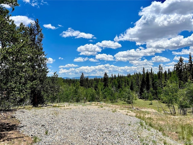 1076 Ute Trl, Como CO, 80432 land for sale