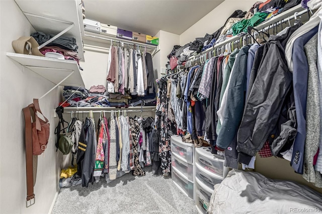 11886 Birch Dr, Thornton, CO 80233 - spacious closet with carpet floors