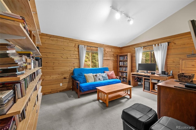 310 Wendelyn Way, Boulder, CO 80302 - carpeted office space featuring wooden walls, lofted ceiling, and rail lighting