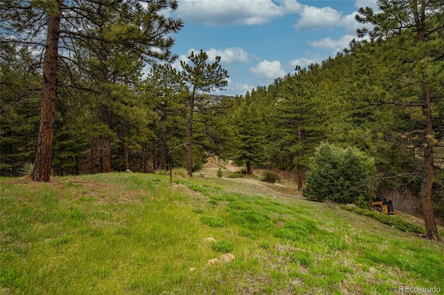 310 Wendelyn Way, Boulder, CO 80302 - view of yard with a view of trees